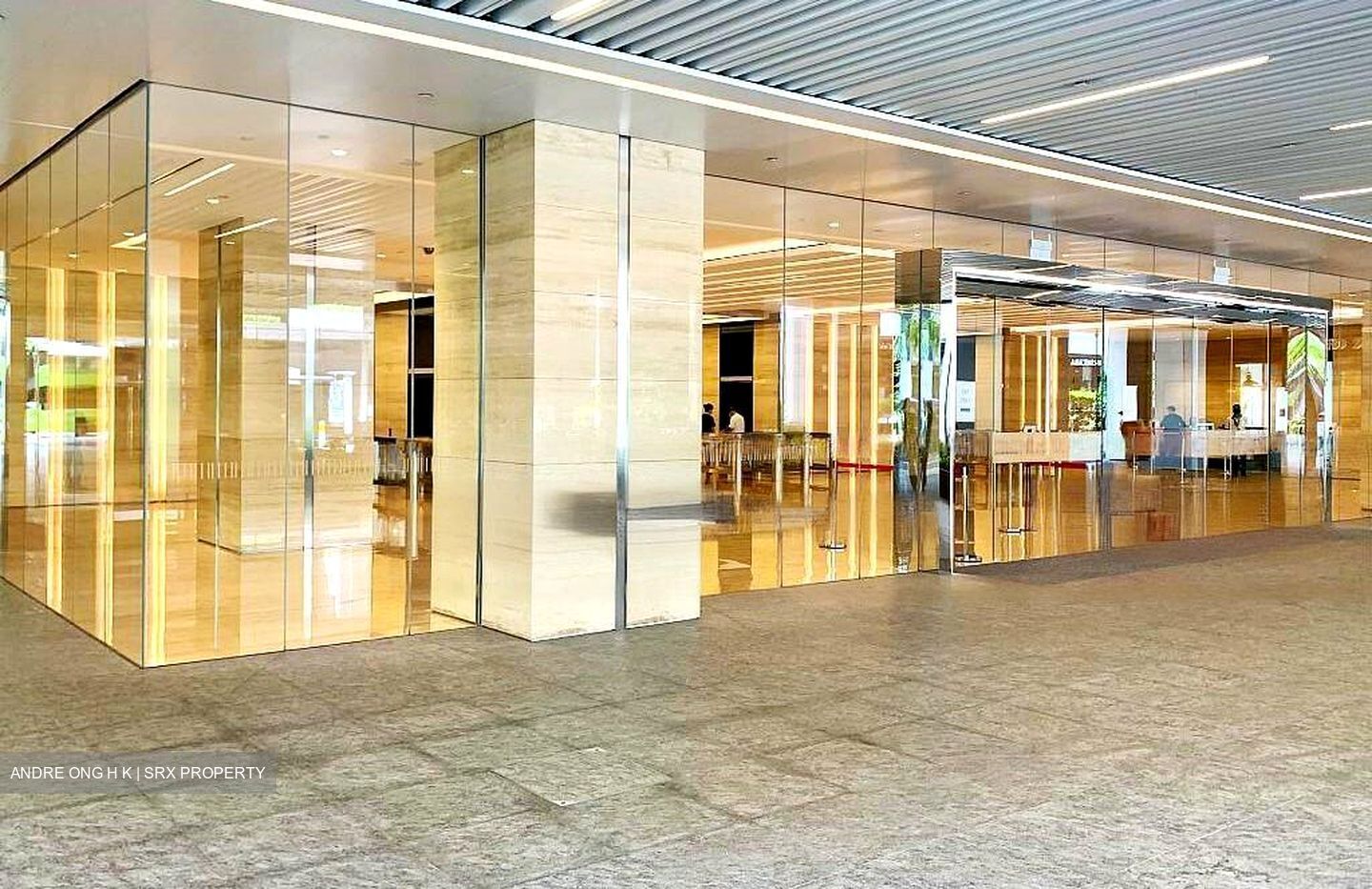 Robinson 77 (D1), Office #460163901
